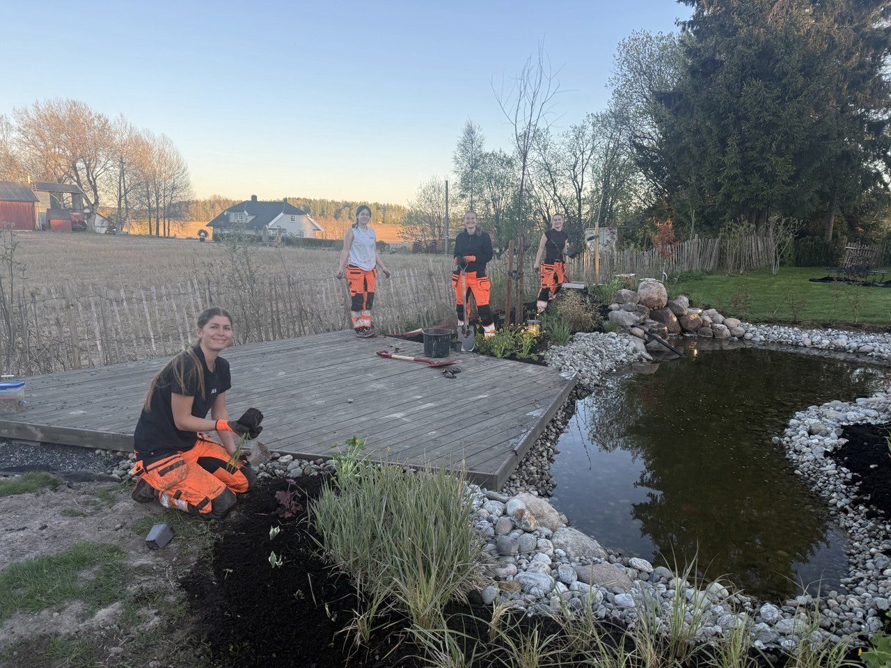 Fire fagarbeidere fra Oliva Park planter rundt en nyanlagt hagedam